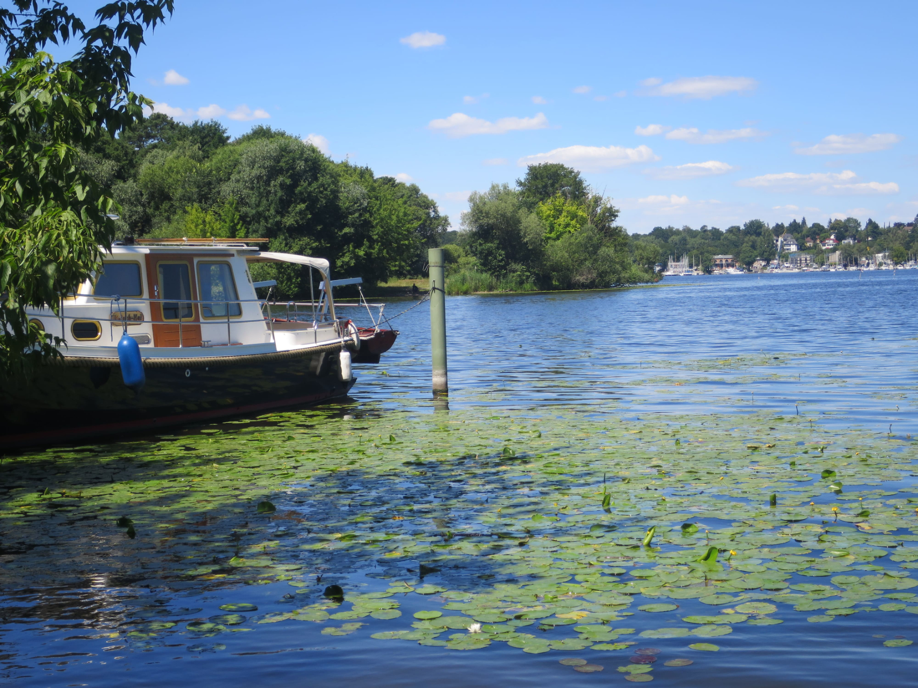 Grunewald 06